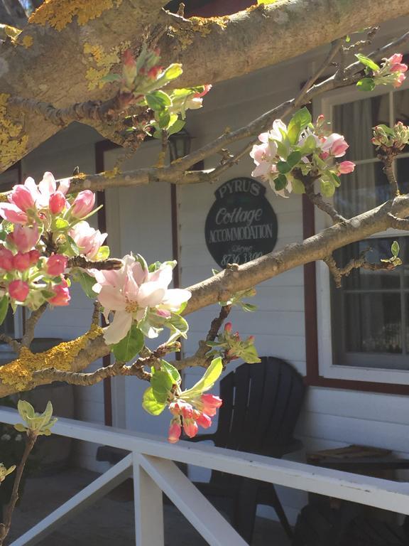 Coonawarra'S Pyrus Cottage Exterior foto
